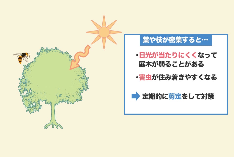 お庭掃除で『植木・垣根の手入れ』をするときに必要な道具と選び方