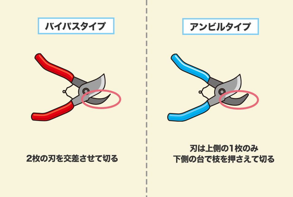 剪定ばさみの『バイパスタイプ』『アンビルタイプ』の違いとは