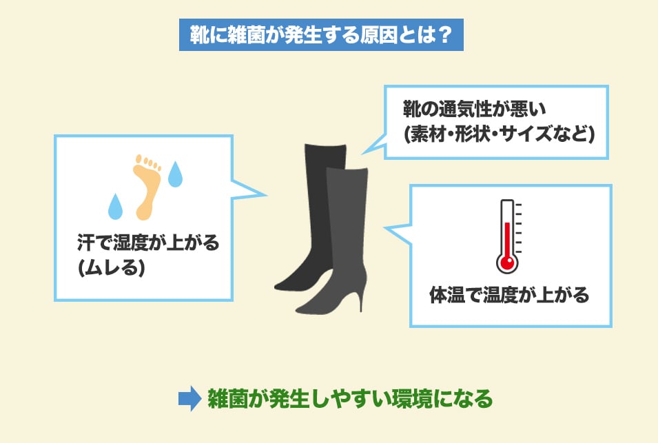 靴消臭グッズは『臭いの原因を除去・抑制』するための道具