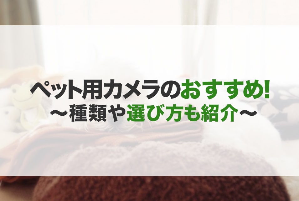 ペット用の見守りカメラのおすすめ10選！種類や選び方