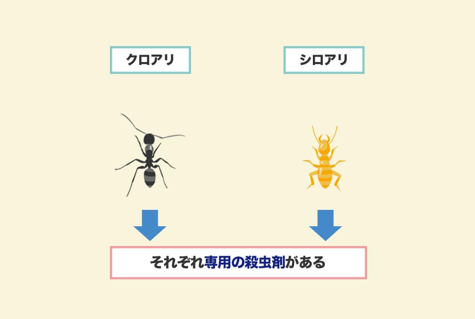 殺虫剤で退治したいアリは『クロアリ』？『シロアリ』？