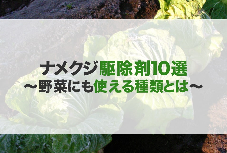 ナメクジ駆除剤のおすすめ10選！野菜にも使える