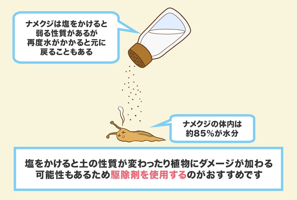 ナメクジ退治には駆除剤？家にあるもの？