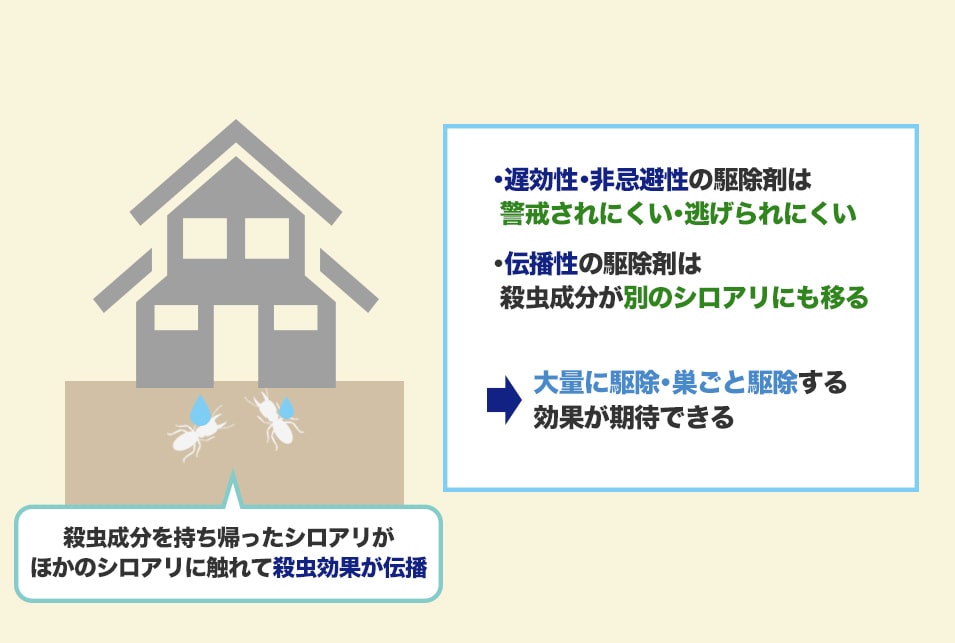 すでに住み着いているシロアリを退治するときのシロアリ駆除剤の選び方