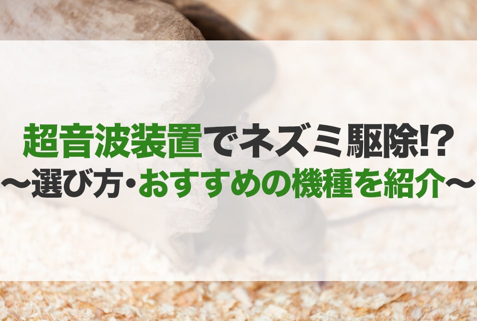 超音波ネズミ駆除のおすすめ15選！選び方や使い方