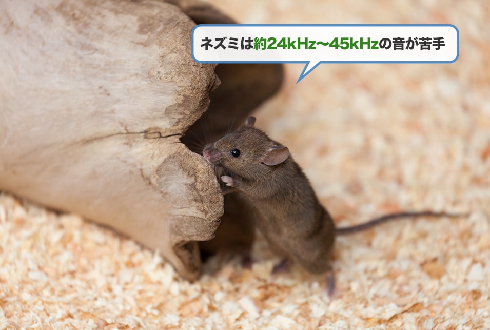 超音波ネズミ駆除器おすすめ15選 口コミ 効果的に使う方法 Jbr